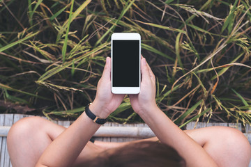 Top view mockup image of woman's hands holding white mobile phone with blank black desktop screen with green nature background