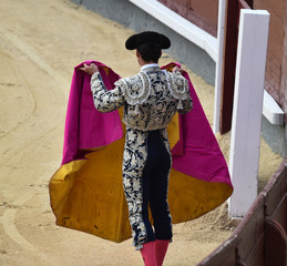 torero en españa