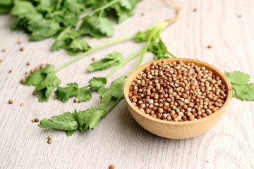 Coriander seeds and fresh