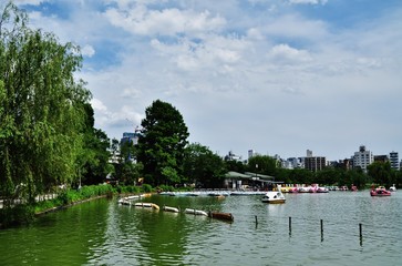 Shinobazunoike pond at Ueno Park, Tokyo, Japan 
