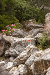 Wanderweg