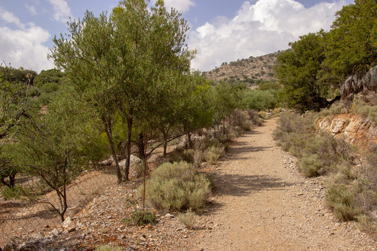 Feldweg auf Kreta