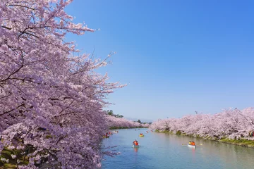Stickers fenêtre Fleur de cerisier 弘前公園の桜 Hirosaki park