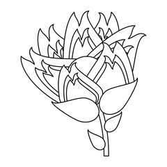 beautiful flower icon over white background, vector illustration