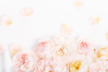 Sweet color fabric roses and white ribbon in soft style for background. Overhead top view, flat lay. Copy space. Wedding, Birthday, Mother's, Valentines, Women's Day concept