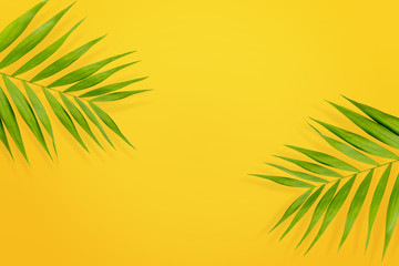 Fototapeta na wymiar Green palm leaves on yellow background, flat lay. Travel concept