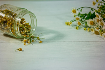 Fresh and dried chamomile for aroma and phototherapy on white wooden table