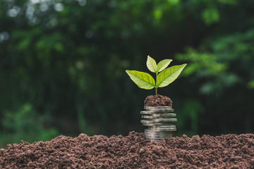Saving money concept with money coin stack growing for business. financial and accounting concept.
