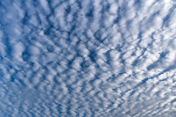Obraz premium Cirrocumulus Cloud in blue sky on sunny peaceful day,Cloud Type Altocumulus, Stratocumulus