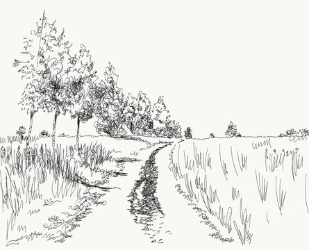 vector illustration summer landscape with country road