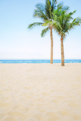 Fototapeta na wymiar Abstract photo of palm tree on empty beach