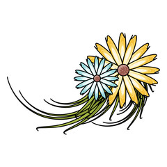 beautiful flowers icon over white background, colorful design. vector illustration