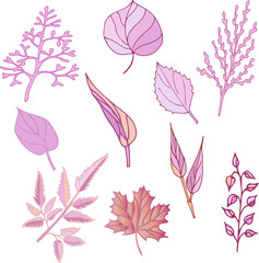 Pink peachy flower leaves. Vector drawing. Delicate peach color, pastel shades.