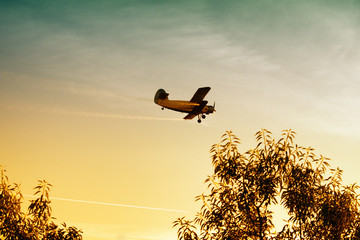 Biplane flying over trees in vibrant sunset