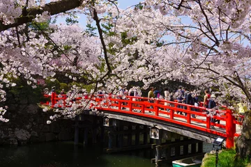 Stickers pour porte Fleur de cerisier 弘前公園の桜 Hirosaki park