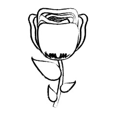 Fototapeta premium flower plant icon over white background, vector illustration