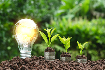 Light bulb with coins beside and young plant on top for saving money,financial,business or energy...