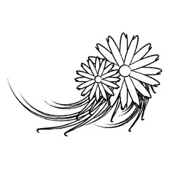 beautiful flowers icon over white background, vector illustration