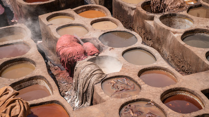 Leather dying in a traditional tannery in the city Fes, Morocco