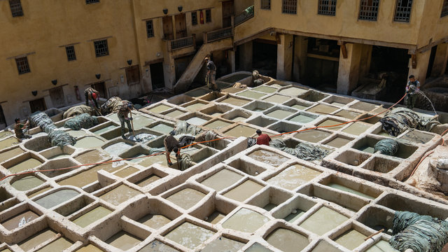 Leather dying in a traditional tannery in Fez, Morocco