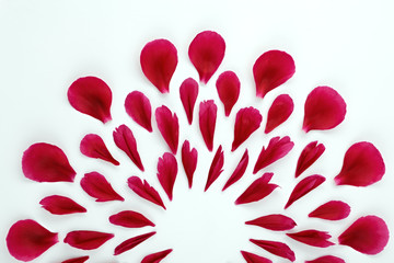 Top view of a floral pattern of peony petals. Composition of flowers on a white background made by hand. Photographed close-up.