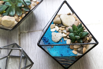 florarium for interior