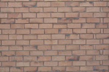 texture background of bricks