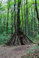 Sur le sentier du Bois de Serre à Dardilly