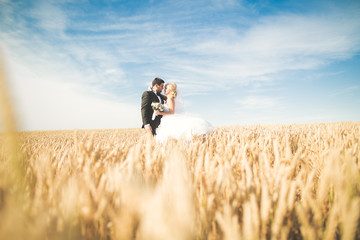 Beautiful wedding couple, bride and groom posing on wheat field with blue sky - Powered by Adobe