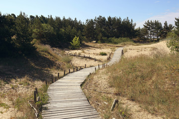 Fototapeta na wymiar Dunes with wooden walkway over sand near Baltic sea. Board way over sand of beach dunes in Lithuania.