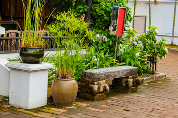 The cement chairs the corridors garden.