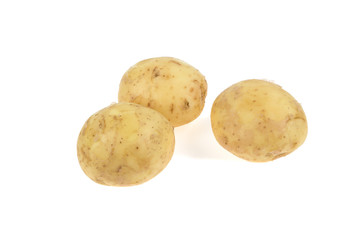 young potatoes on a white background