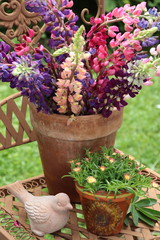 Lupinenstrauß in Terracotta-Topf  und Terrakotta-Vogel als Dommer-Gartendekoration