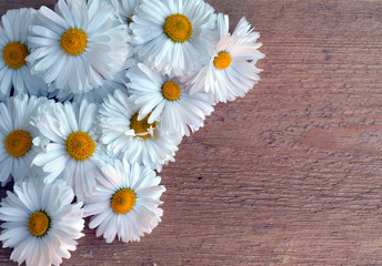 Obraz premium pattern on a postcard of white and yellow flowers of daisies