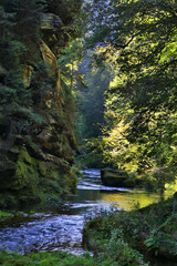 Kamenice river near Hrensko. Bohemia. Czech Republic