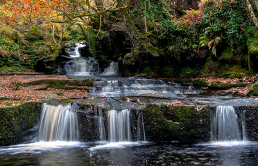 Tiered waterfall in autumn, Caerfanell, Brecon Beacons, Wales