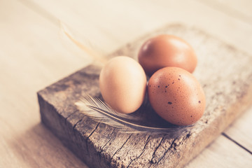 Chicken raw eggs - Stock image