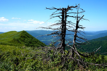 Obraz premium Bieszczady Mountains in Poland