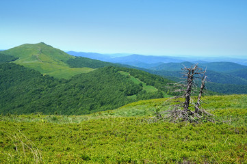 Obraz premium Bieszczady Mountains in Poland
