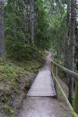 Obraz premium Outcrops of Taevaskoda on the Ahja river, Estonia Polva
