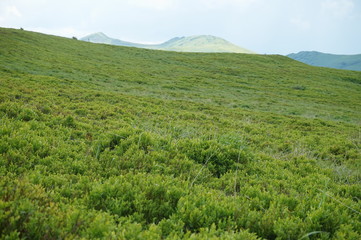 Fototapeta premium Bieszczady Mountains in Poland