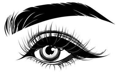 Obraz premium illustration of eye makeup and brow on white background