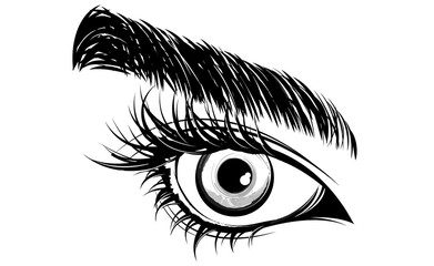 Fototapeta premium illustration of eye makeup and brow on white background