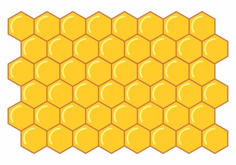 A honeycomb illustration