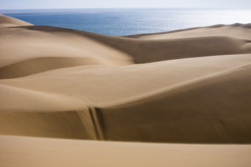Fototapeta na wymiar The Namib desert along side the atlantic ocean coast of Namibia, southern Africa