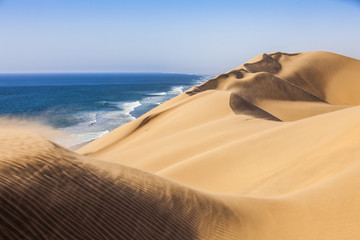 The Namib desert along side the atlantic ocean coast of Namibia, southern Africa - obrazy, fototapety, plakaty