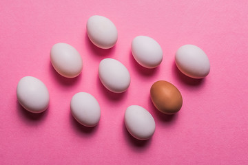 Organic white eggs in a raw on pastel backgound.