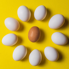 Organic white eggs in a raw on pastel backgound.