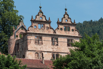 Schlossruine im ehemaligen Kloster Hirsau