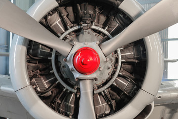 Radial engine of an aircraft. Close-up
